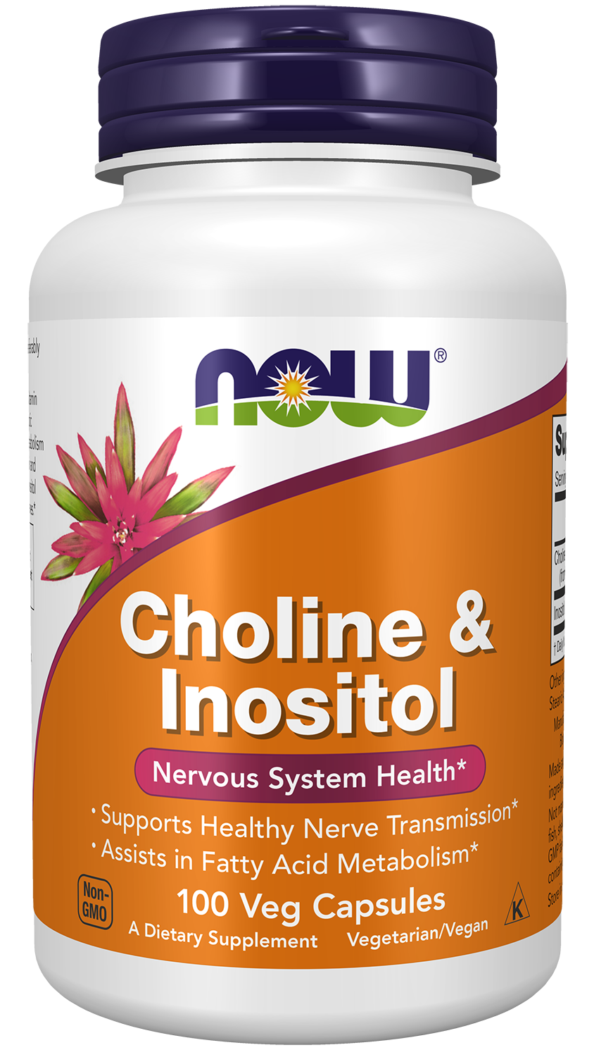 NOW Foods Choline & Inositol 100veg caps — Choline & Inositol 100veg caps hero