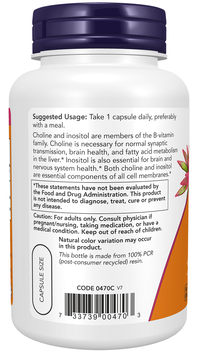 NOW Foods Choline & Inositol 100veg caps — Choline & Inositol 100veg caps support