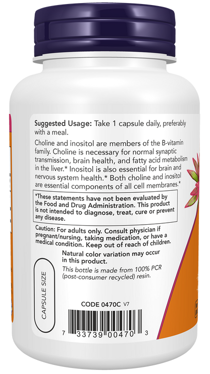 NOW Foods Choline & Inositol 100veg caps — Choline & Inositol 100veg caps support