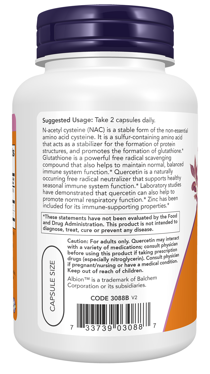 NOW Foods NAC Quercetin & Zinc 90caps — NAC Quercetin & Zinc 90caps support