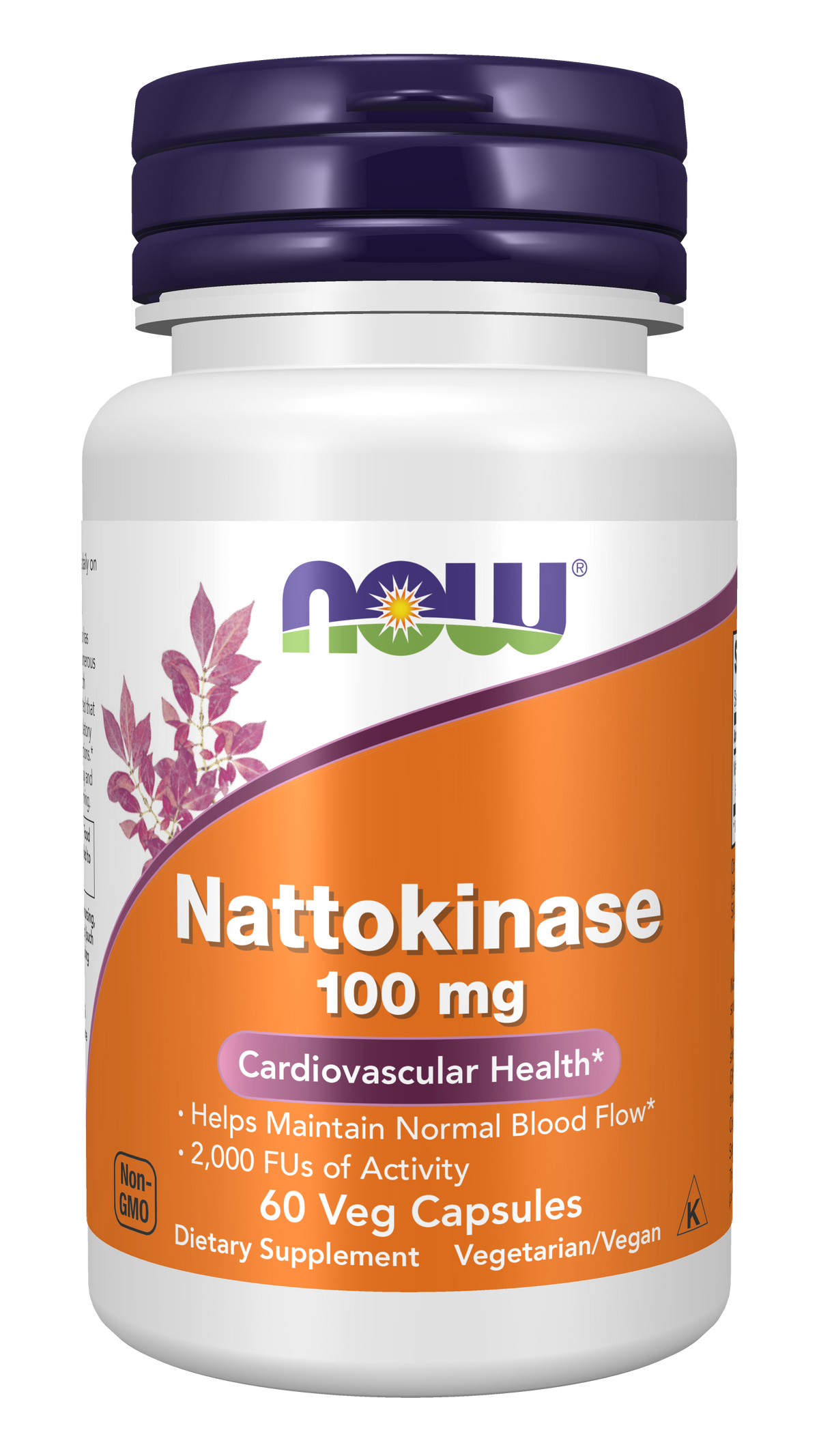 NOW Foods Nattokinase 100mg 60 vcaps — Nattokinase 100mg 60 vcaps hero