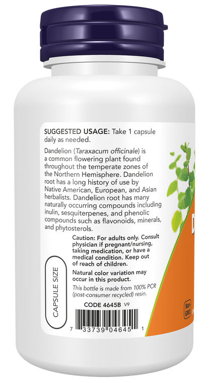 NOW Foods Dandelion Root 500mg 100 vcaps — Dandelion Root 500mg 100 vcaps support