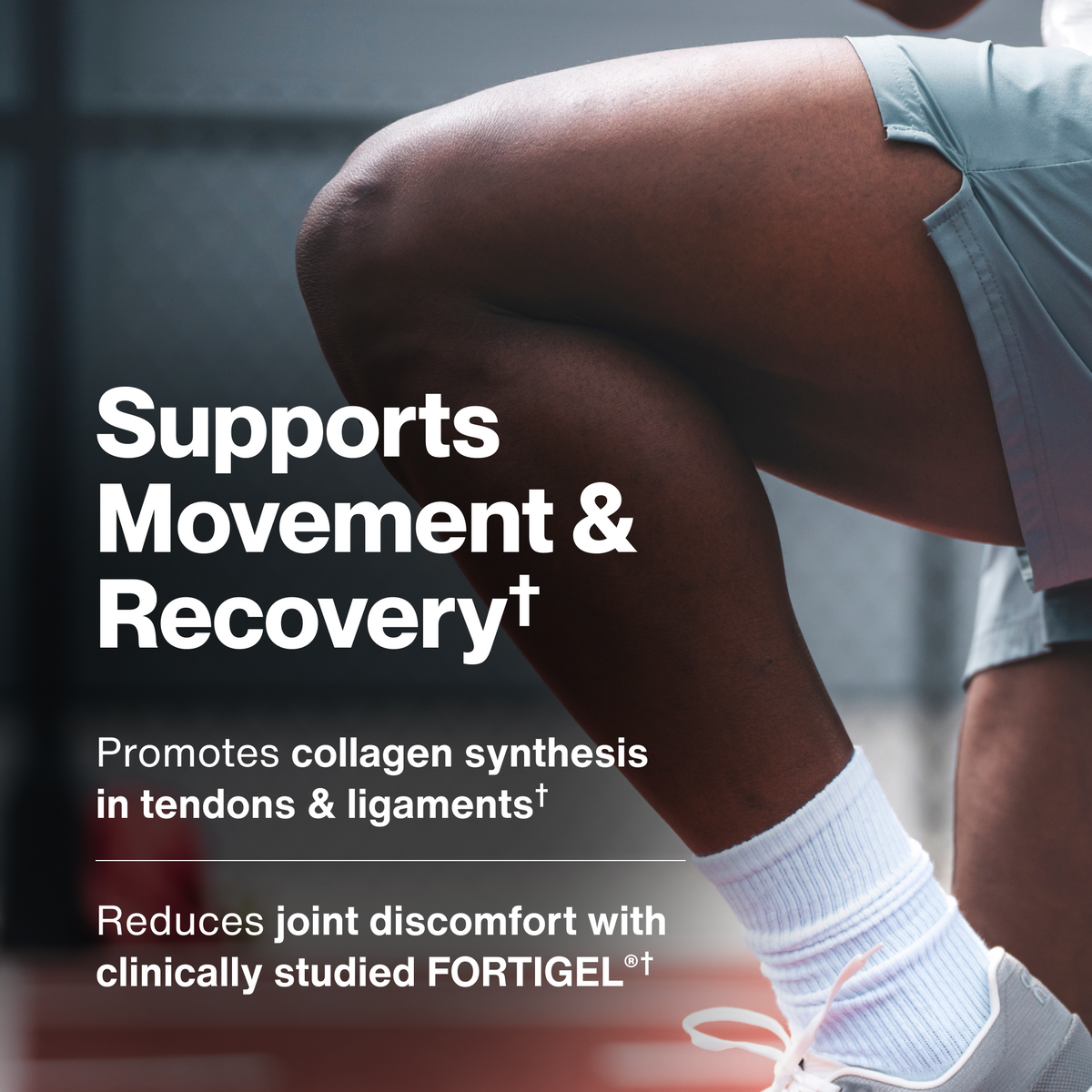 Momentous Collagen Peptides — Collagen Peptides support
