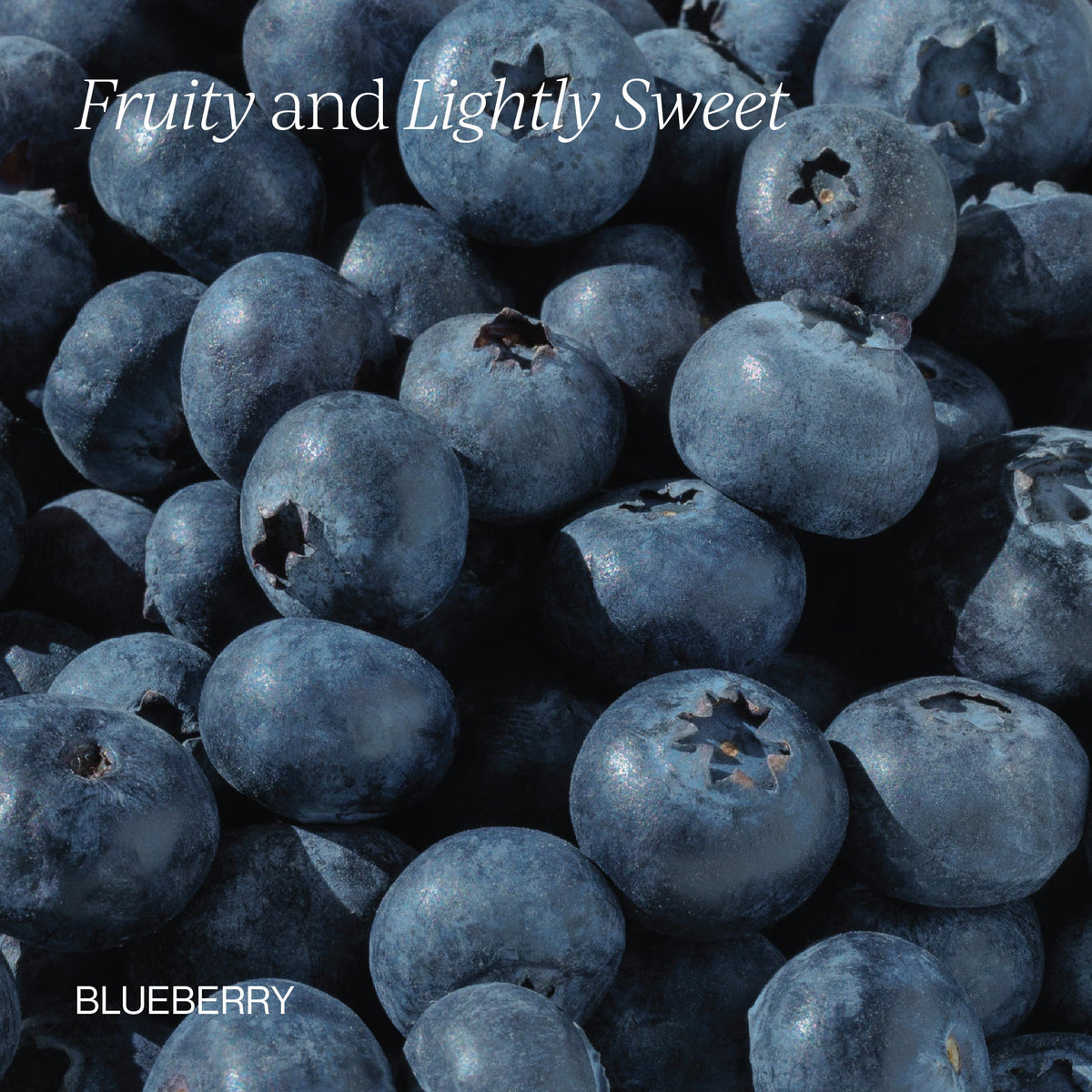 Cymbiotika Elderberry — Elderberry support