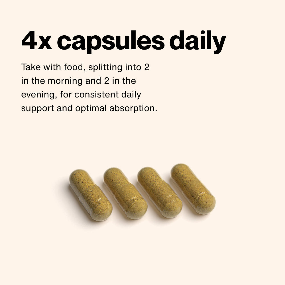 Momentous Essential Multi 120 Capsules — Essential Multi 120 Capsules support